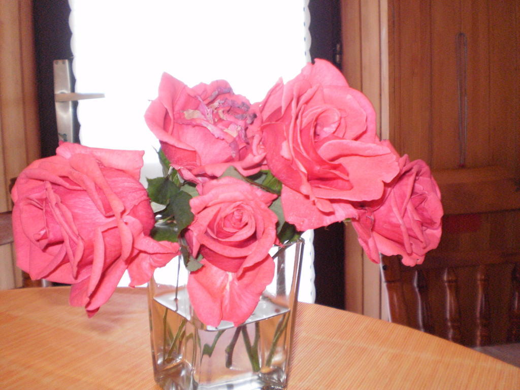 Two-Bedroom Apartment with Terrace and Sea View,116525120:JPEG