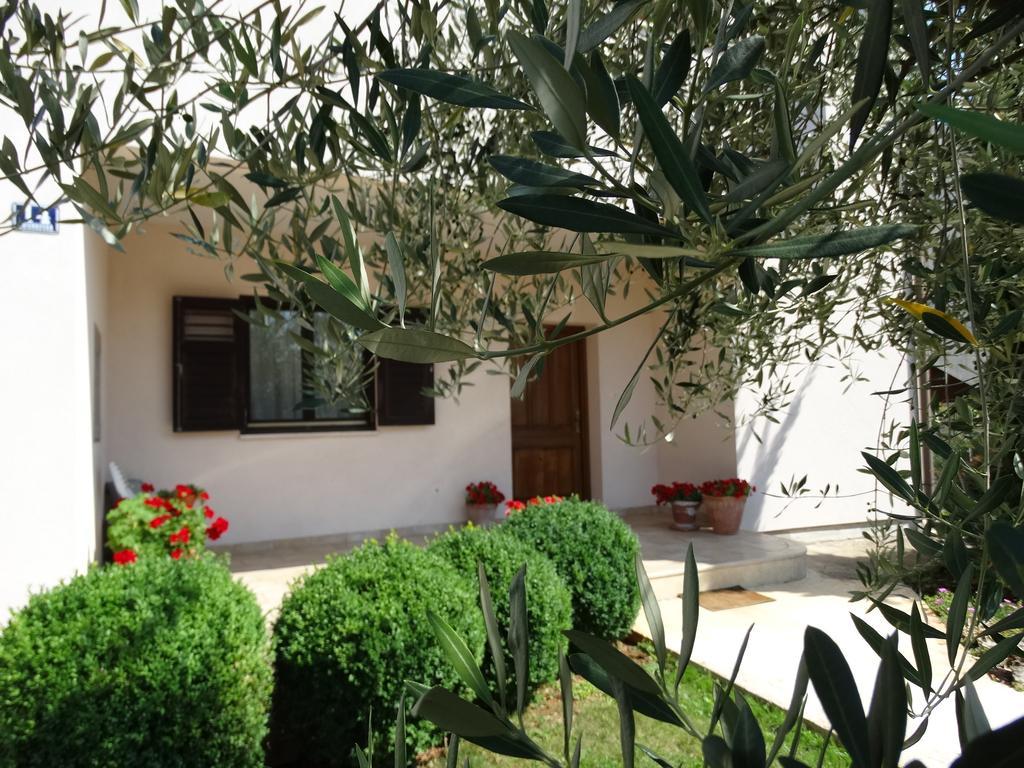 Apartment - Ground Floor,126762690:JPEG