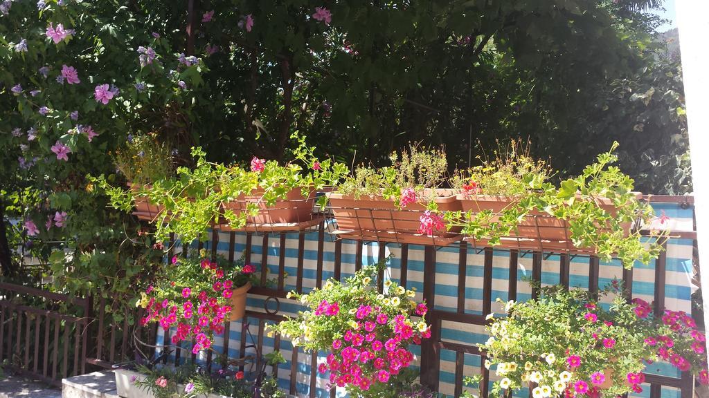 Apartment with Terrace,127071288:JPEG