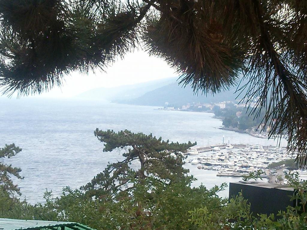 Apartment,136491456:JPEG