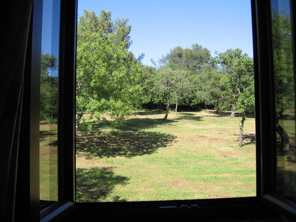 Single Room,152177227:JPEG