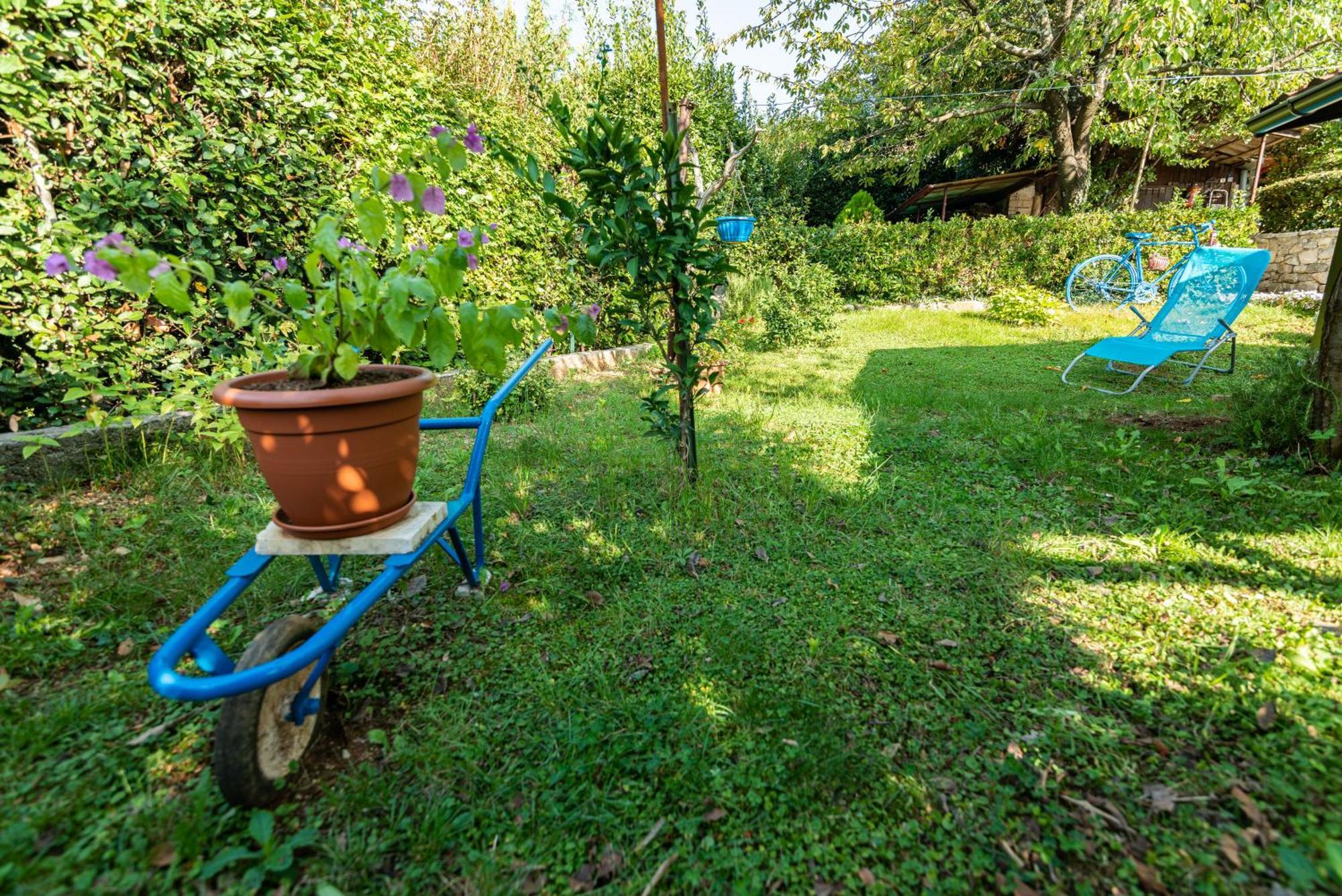Apartment Garden View