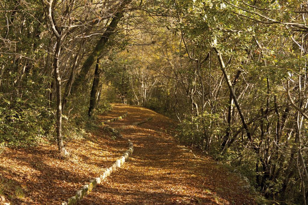 Two-Bedroom Apartment with Terrace and Sea View,237245421:JPEG