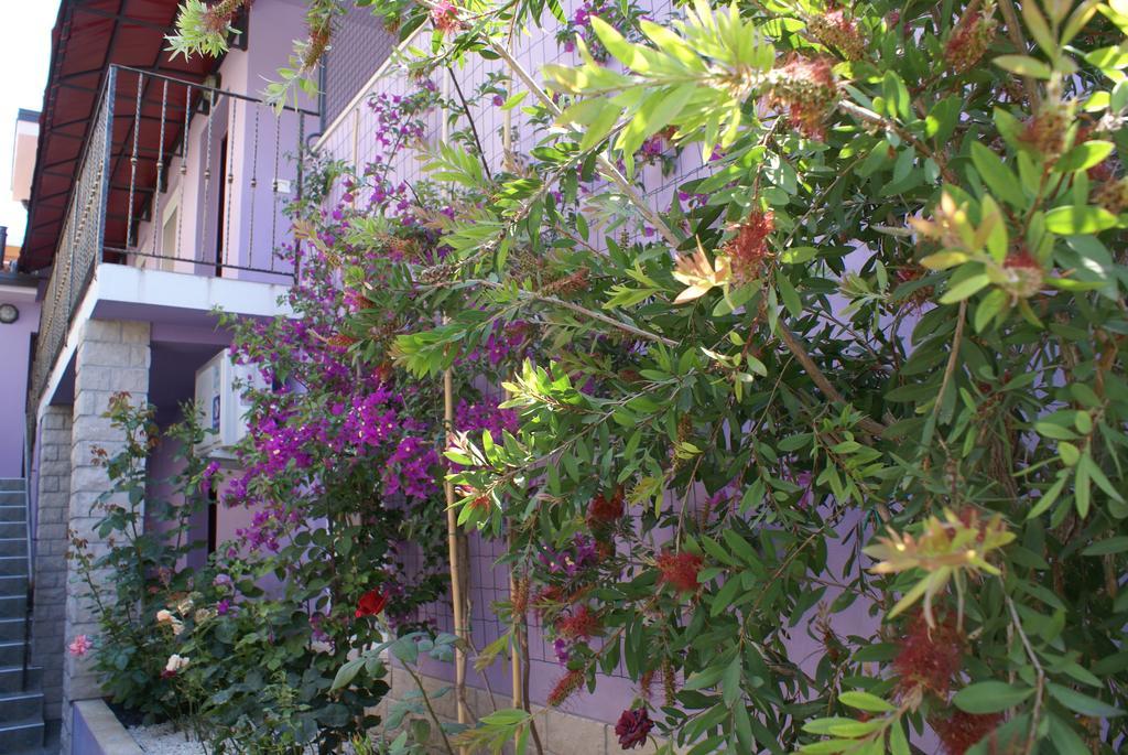 Studio Garden View,196778431:JPEG
