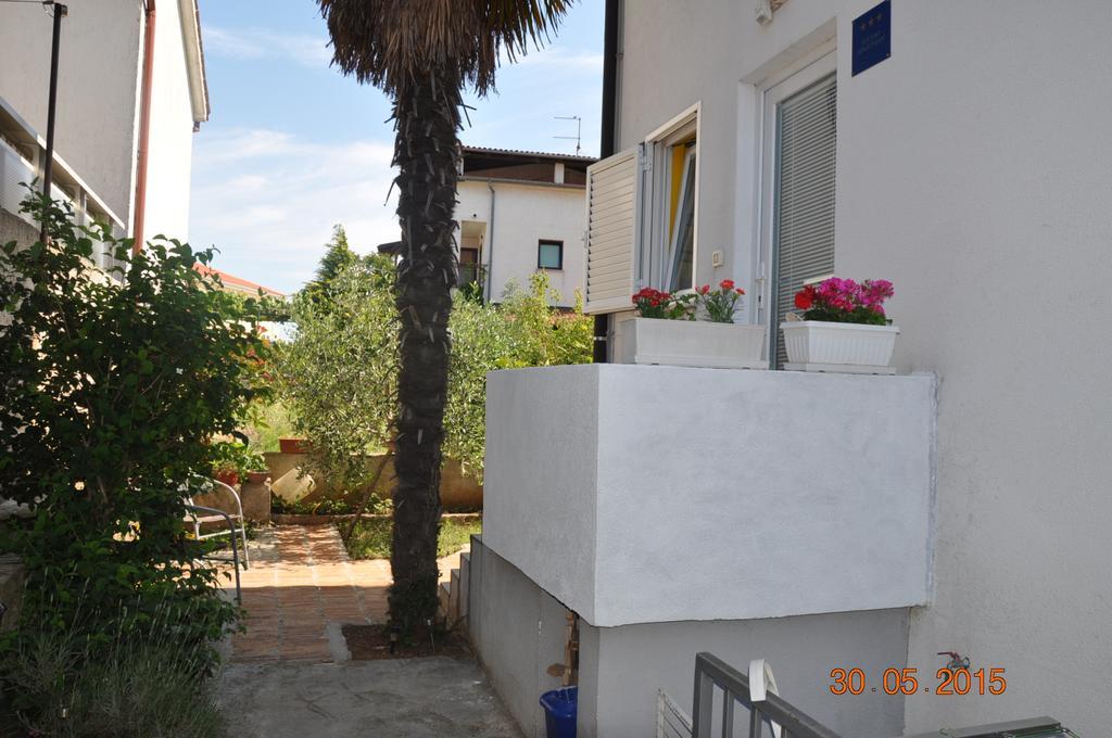 Studio with Terrace,1262777059:JPEG