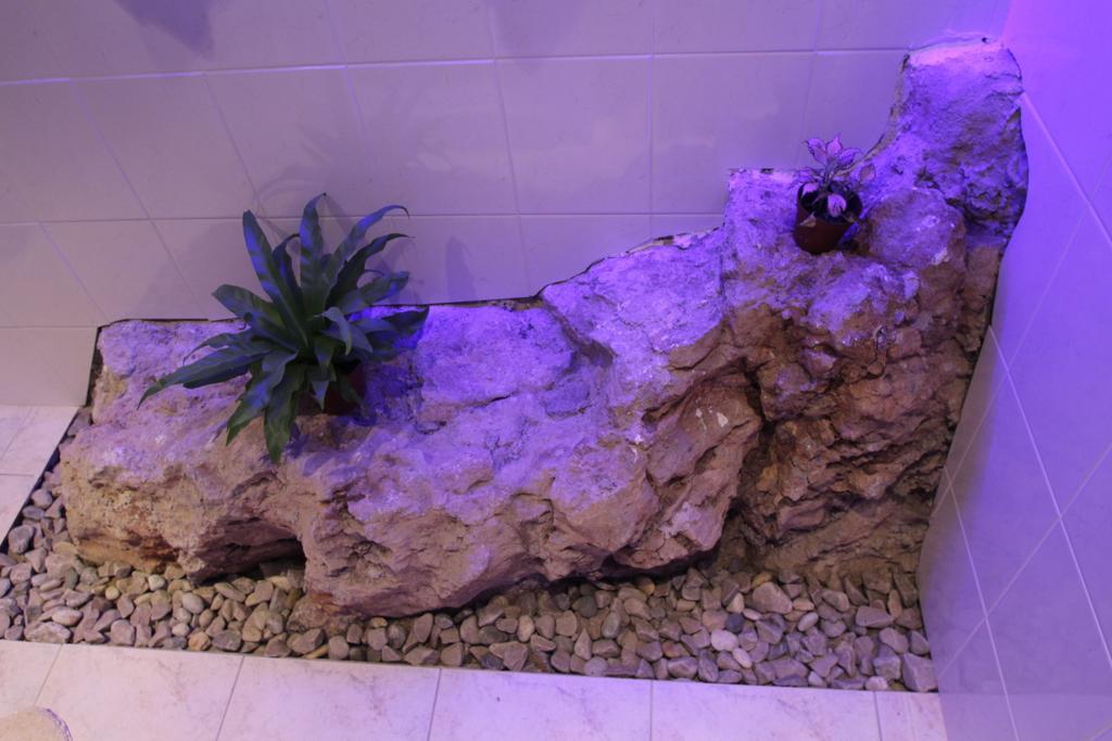 Apartment,255778045:JPEG