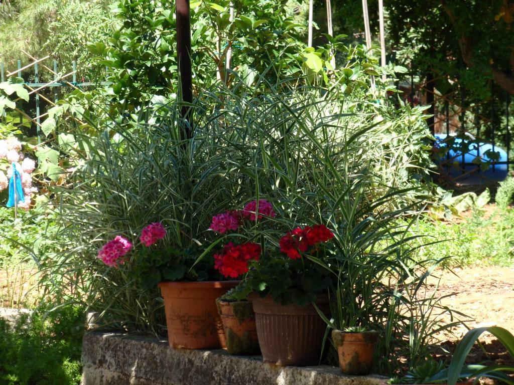 One-Bedroom Apartment with Terrace,33600490:JPEG