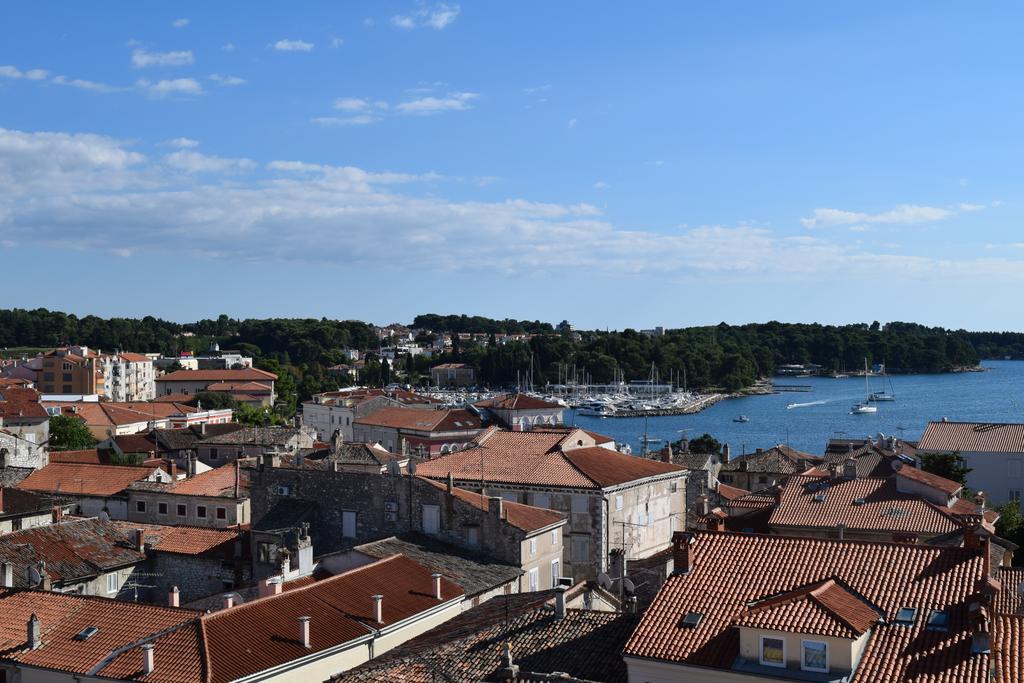 Apartment with Terrace,381238807:JPEG