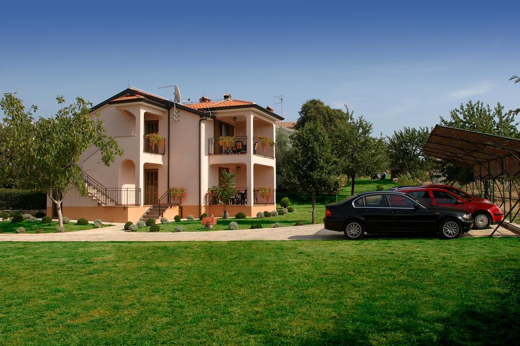 Apartment with Terrace,388972283:JPEG