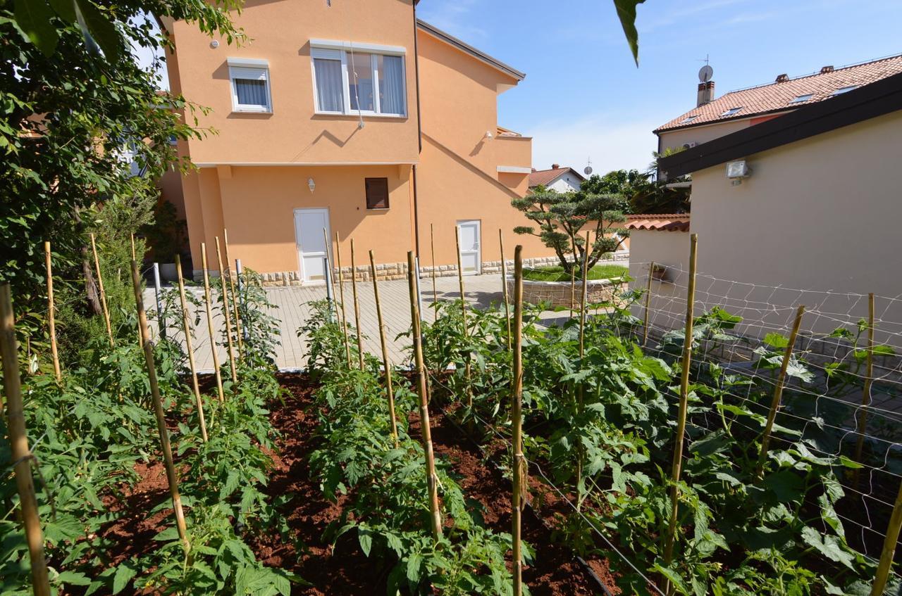 Standard Apartment,664189320:JPEG