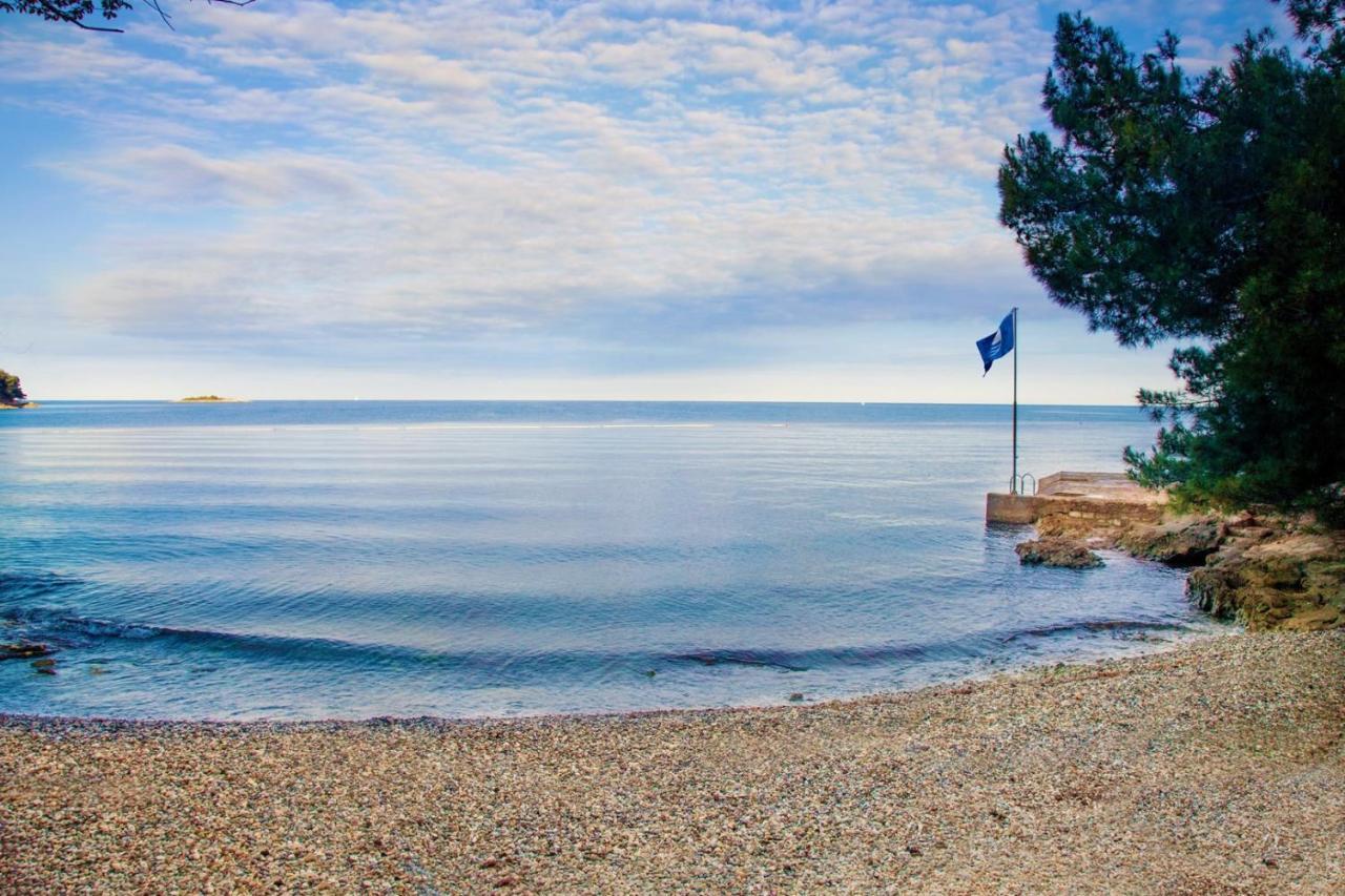 Apartment,723741934:JPEG