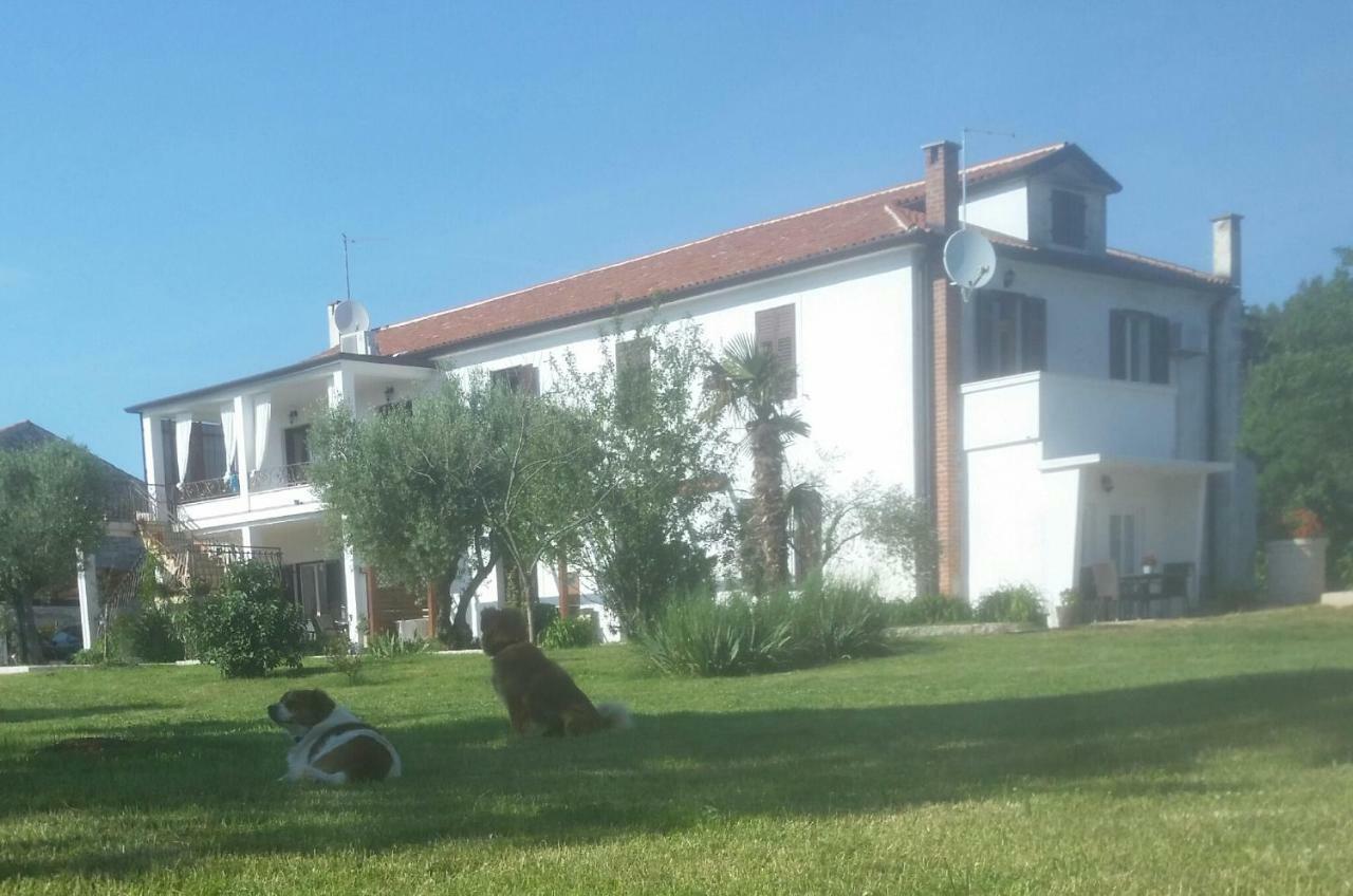 Apartment with Terrace,859458794:JPEG