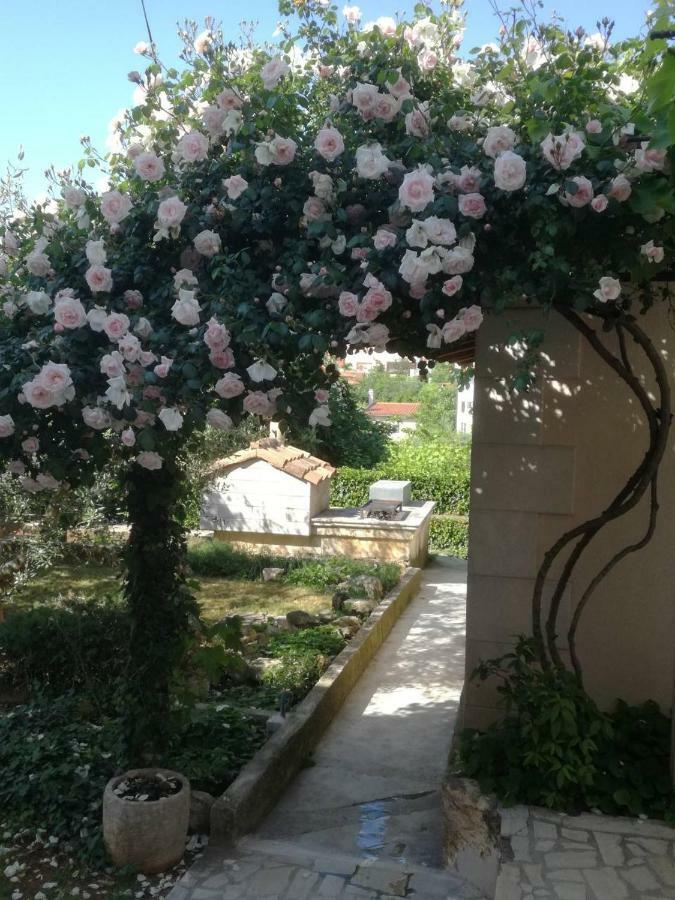 Apartment - Ground Floor,1047942793:JPEG