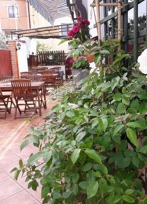 B&B Lavanda , Finida-Umag-1
