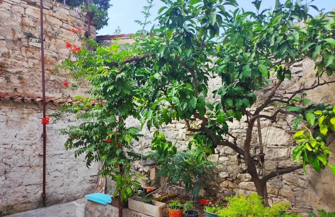 Casa Dei Fiori-1