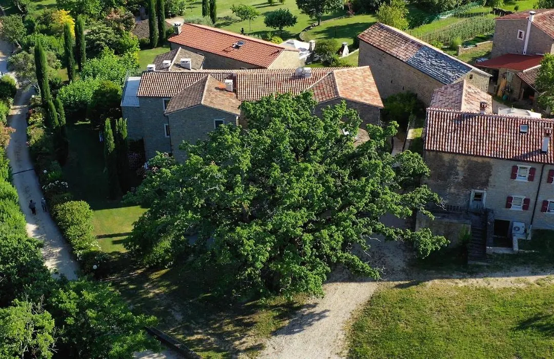 L'Abbraccio Della Quercia - Suites-1