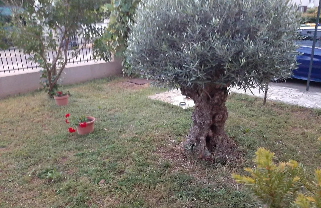 Apartman Silvano-1