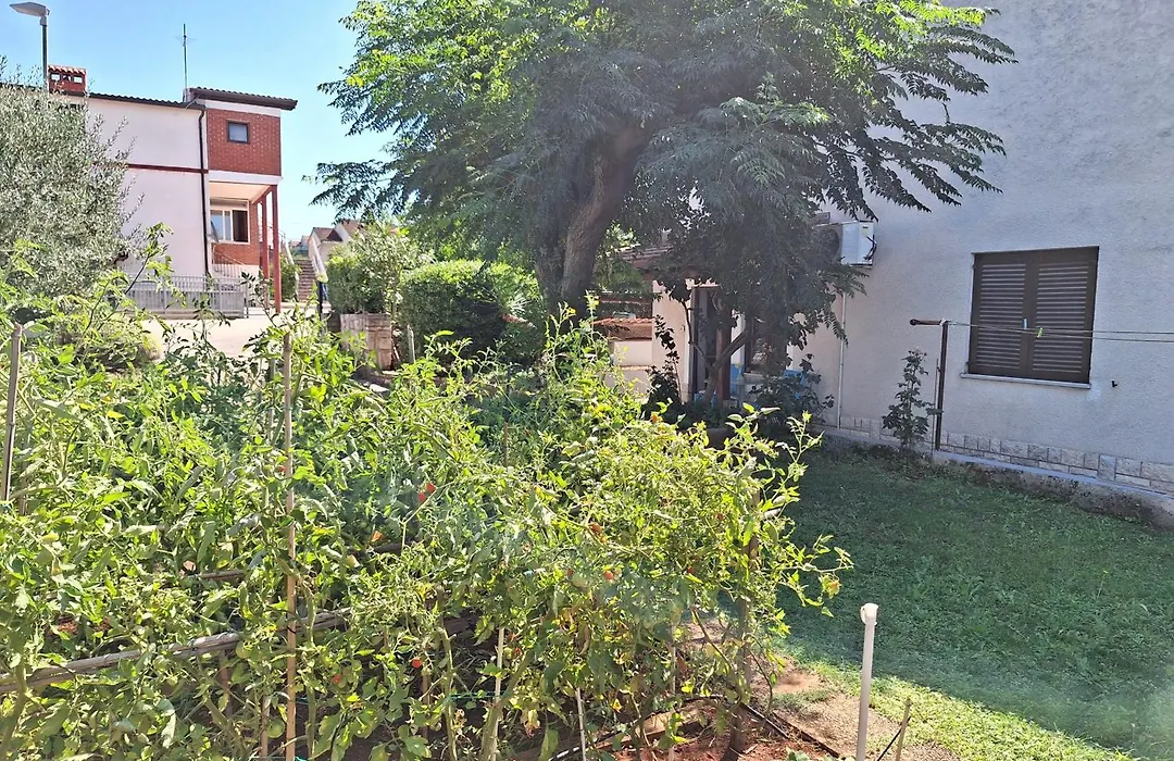 Apartments Reinić-1