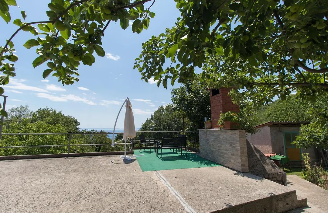 Apartments Vesna-1