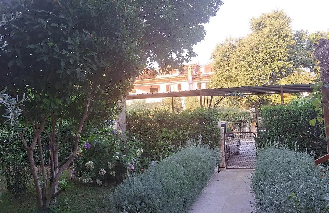 Apartmani Donna-1