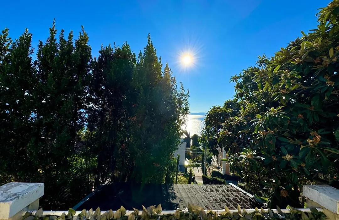 Apartment Bella 1-1