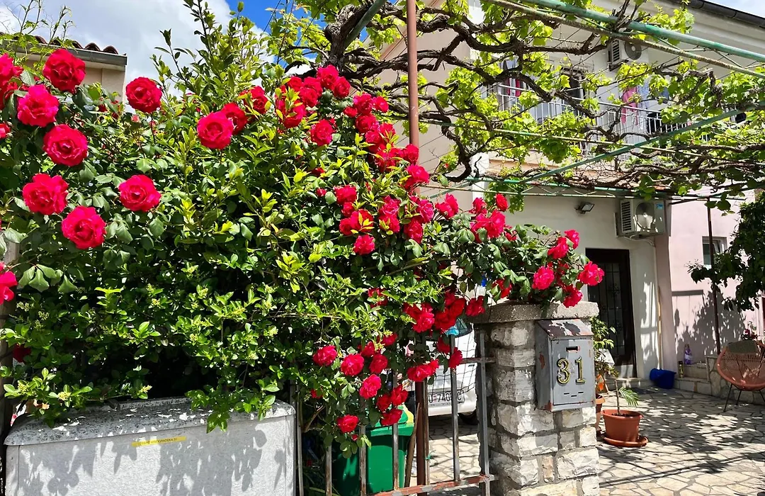 Veronika'S House-1