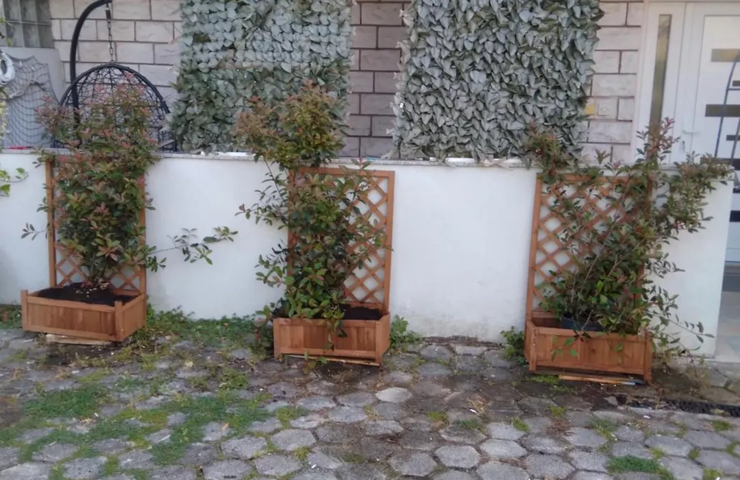 Apartment Erceg-1