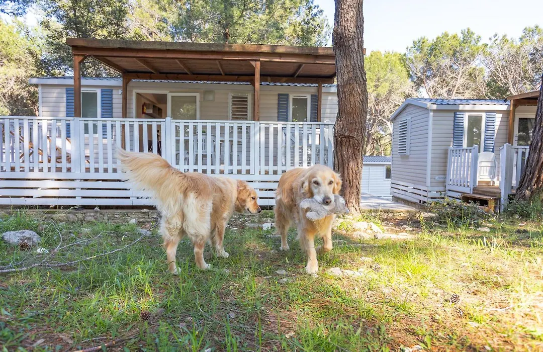 Mobile Homes Pine Sea Banjole-1