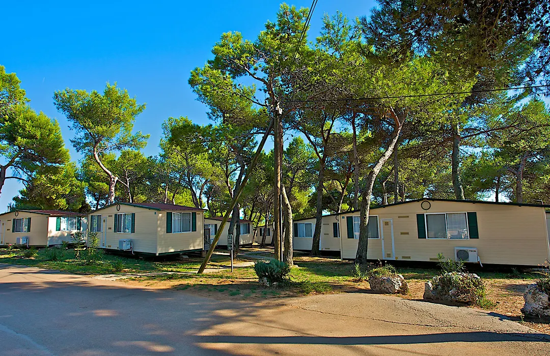 Arena Indije Mobile Homes-1