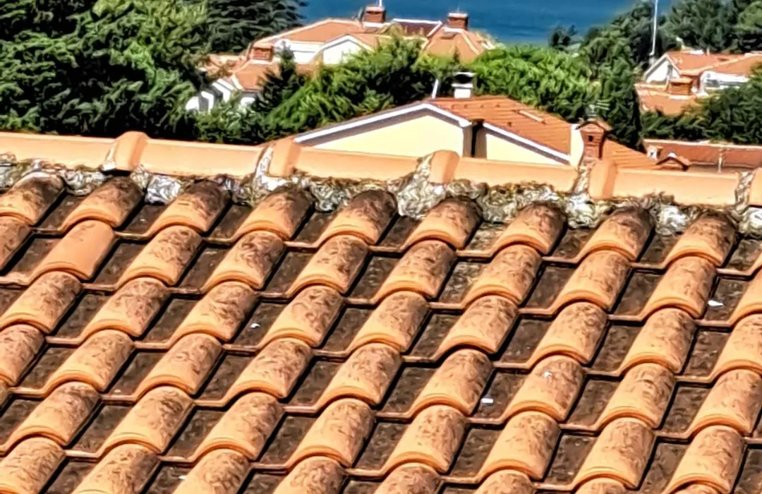 Apartmani Diana-1