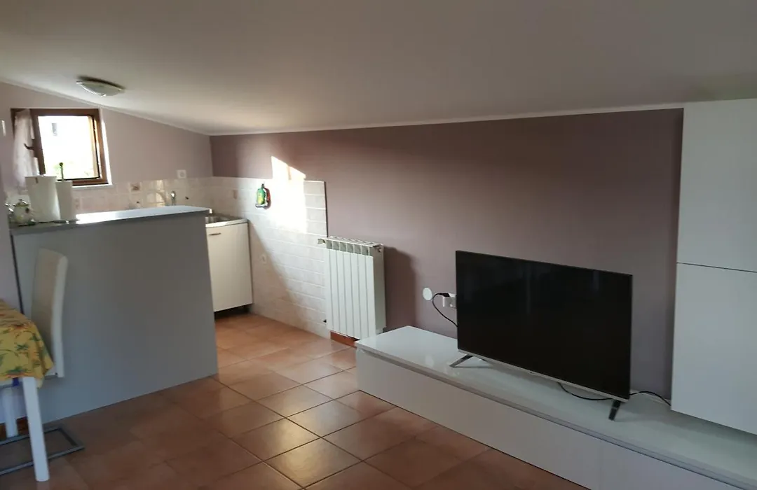 Apartments Milica-1
