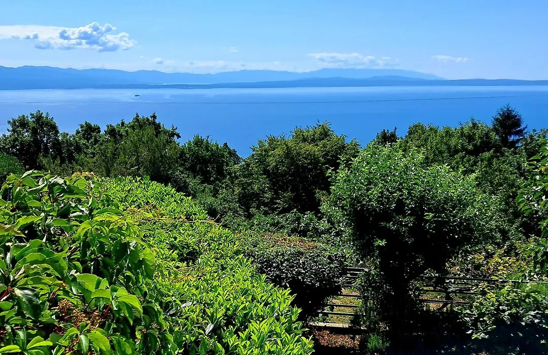 Kuca Draga - Property Nono-1