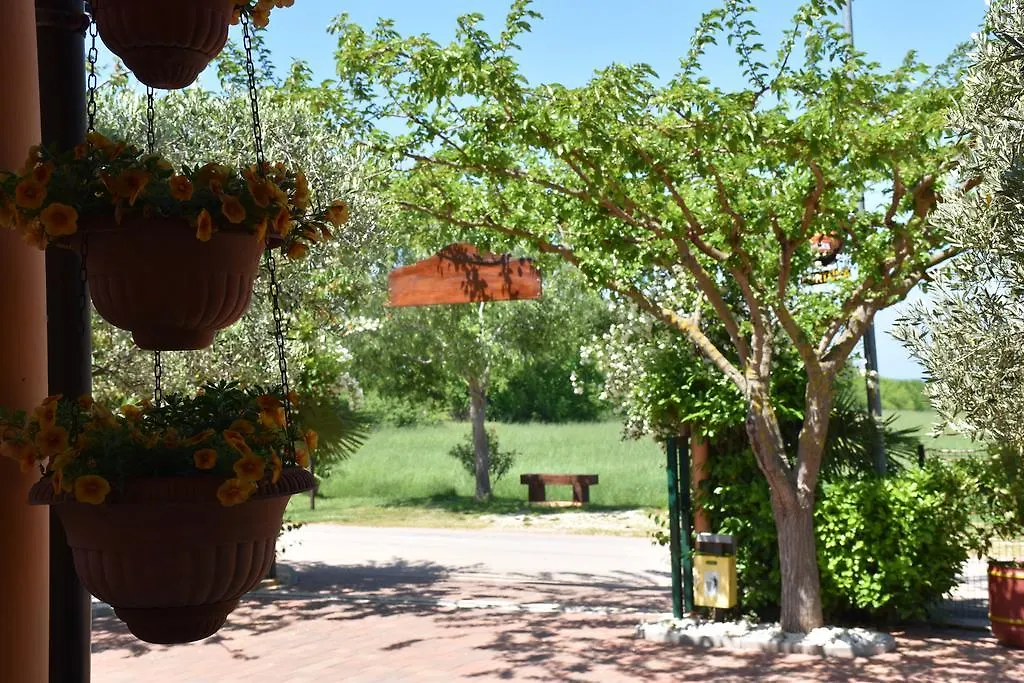Guest House Fortuna-1