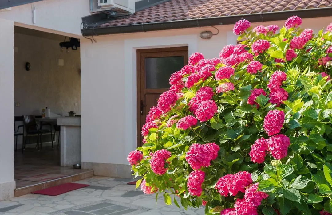 B&B Carmela-1