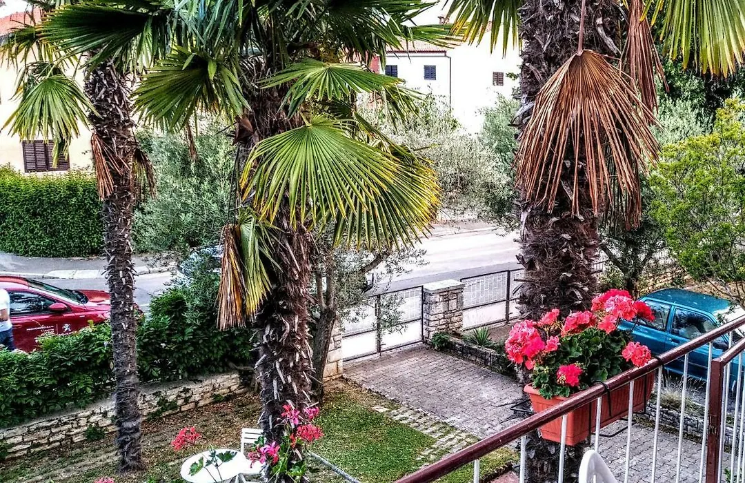 Apartman Maslina-1