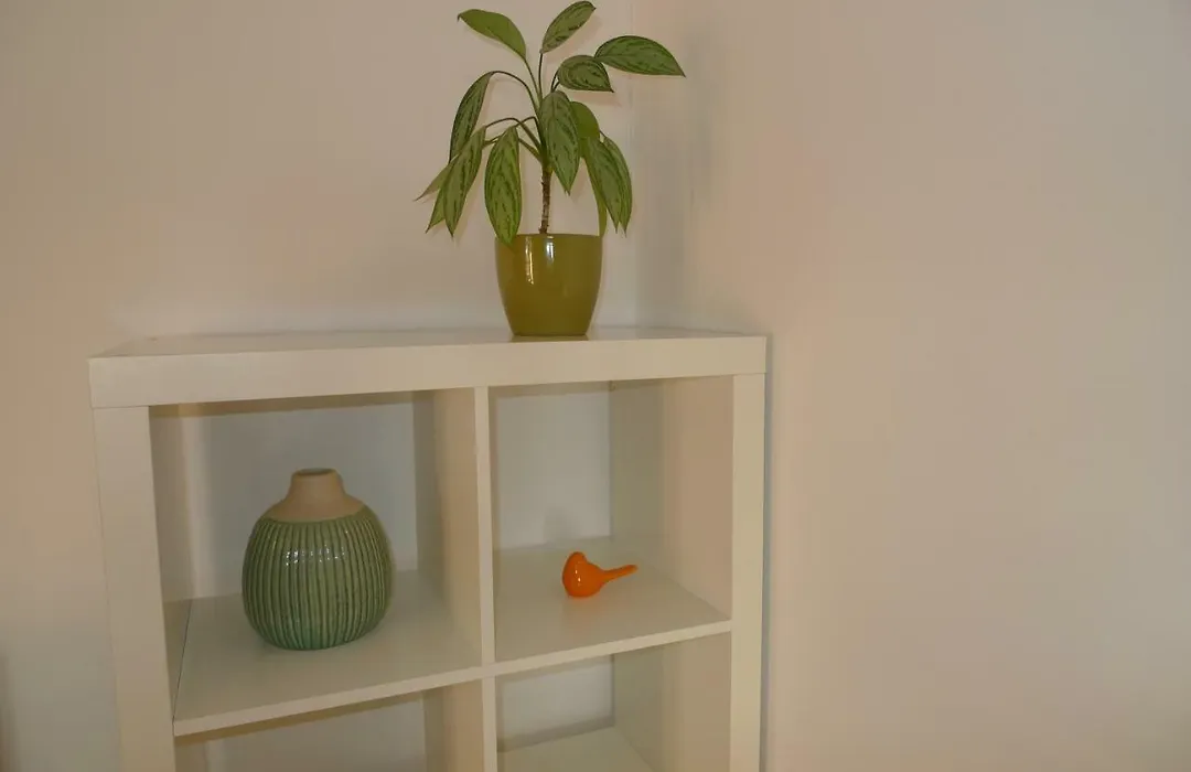 Studio Apartments Seka-1
