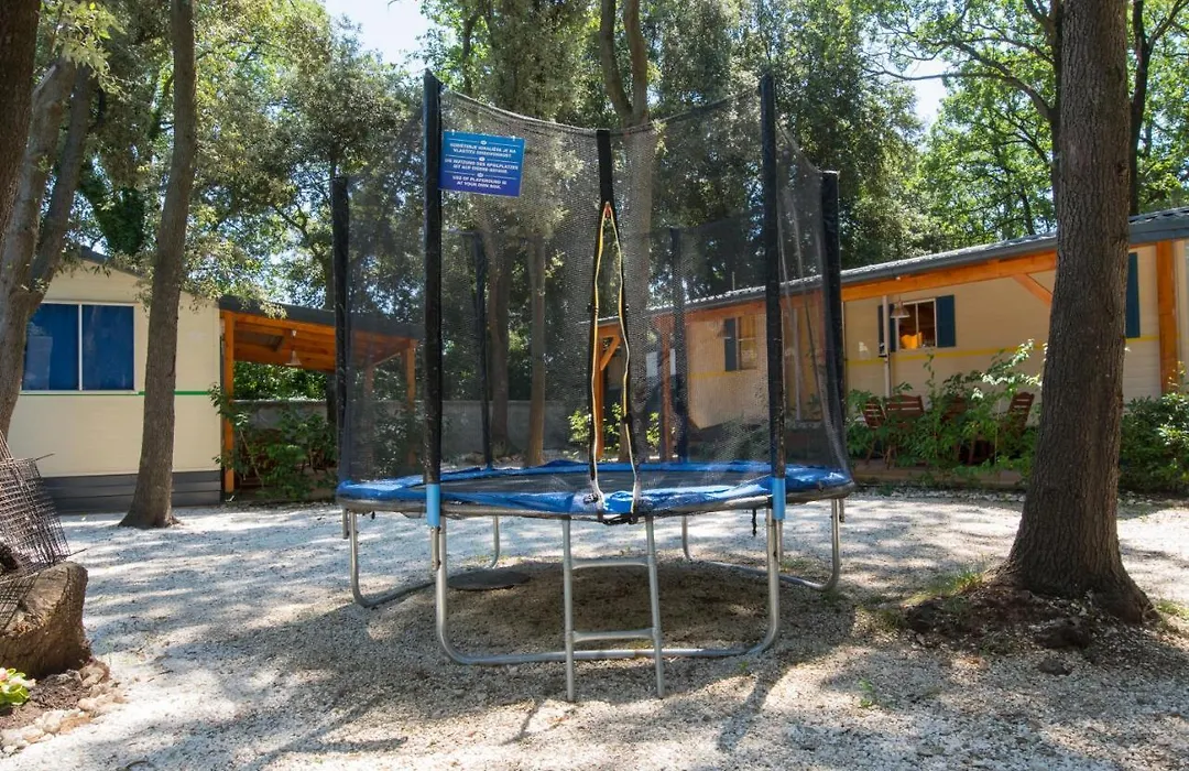 Mobile Home - Kamp Olga-1