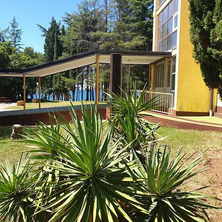 Youth Hostel Pinesta-2