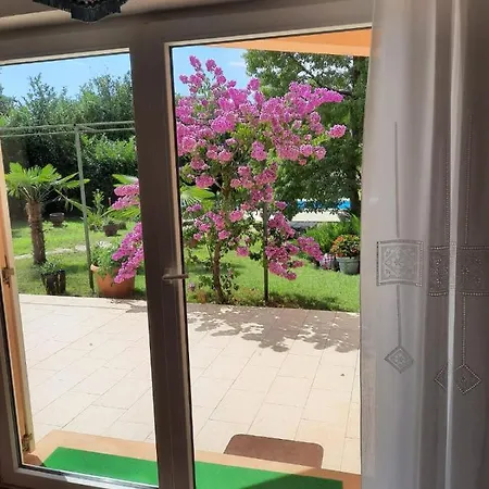 Villa Di Te Nema-2