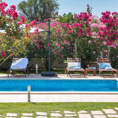 Villa Viviana Fazana Valbandon Heated Pool-3