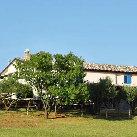 Bed&Breakfast Monte Rosso-3