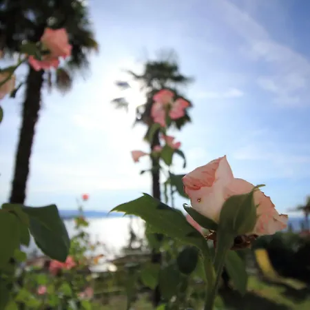 Tramontana Apartment - Cozy And Charming Close To Sea-2