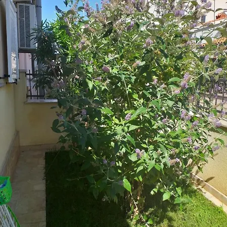 Apartman Vida-3