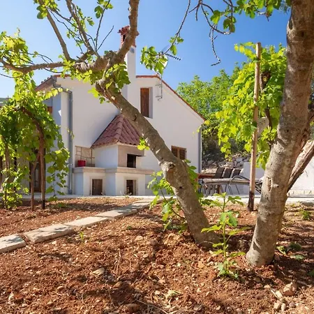 Al Pino Blue Property-2