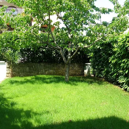 Apartments & Room Mariza-3