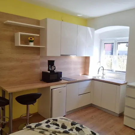Studio Apartment Lori-2