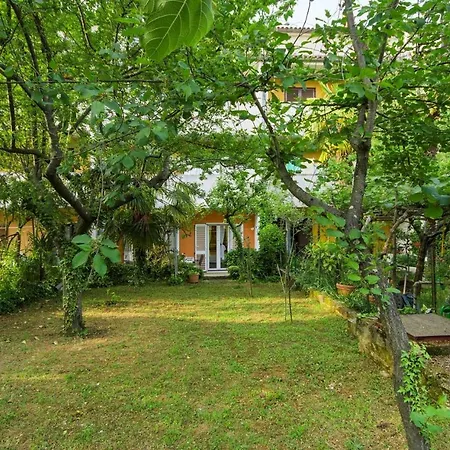 Apartment Majic-2