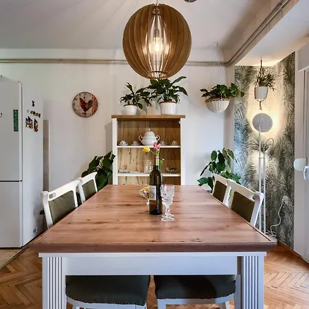 Avocado Apartment City Center- Pet Friendly!-3