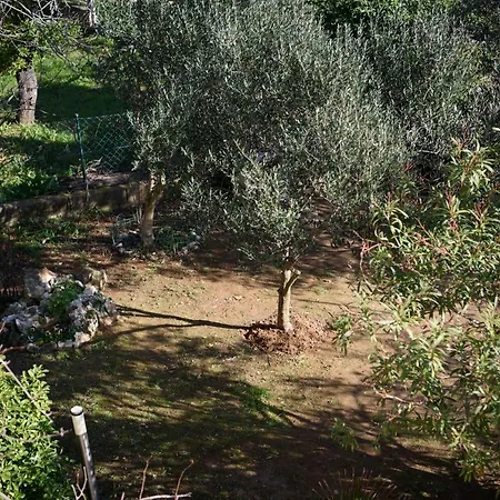 Villa Claudia Beach Apartment-3