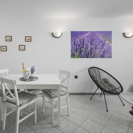 One-Bedroom Apartment In Vrsar-3